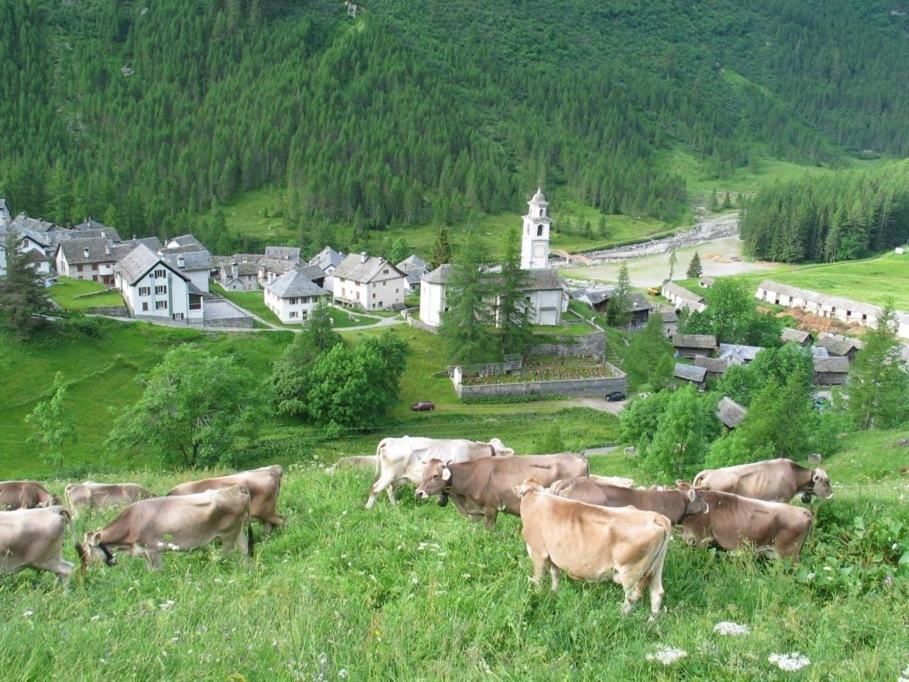 Casa Di Vacanza Giovanibosco Экстерьер фото
